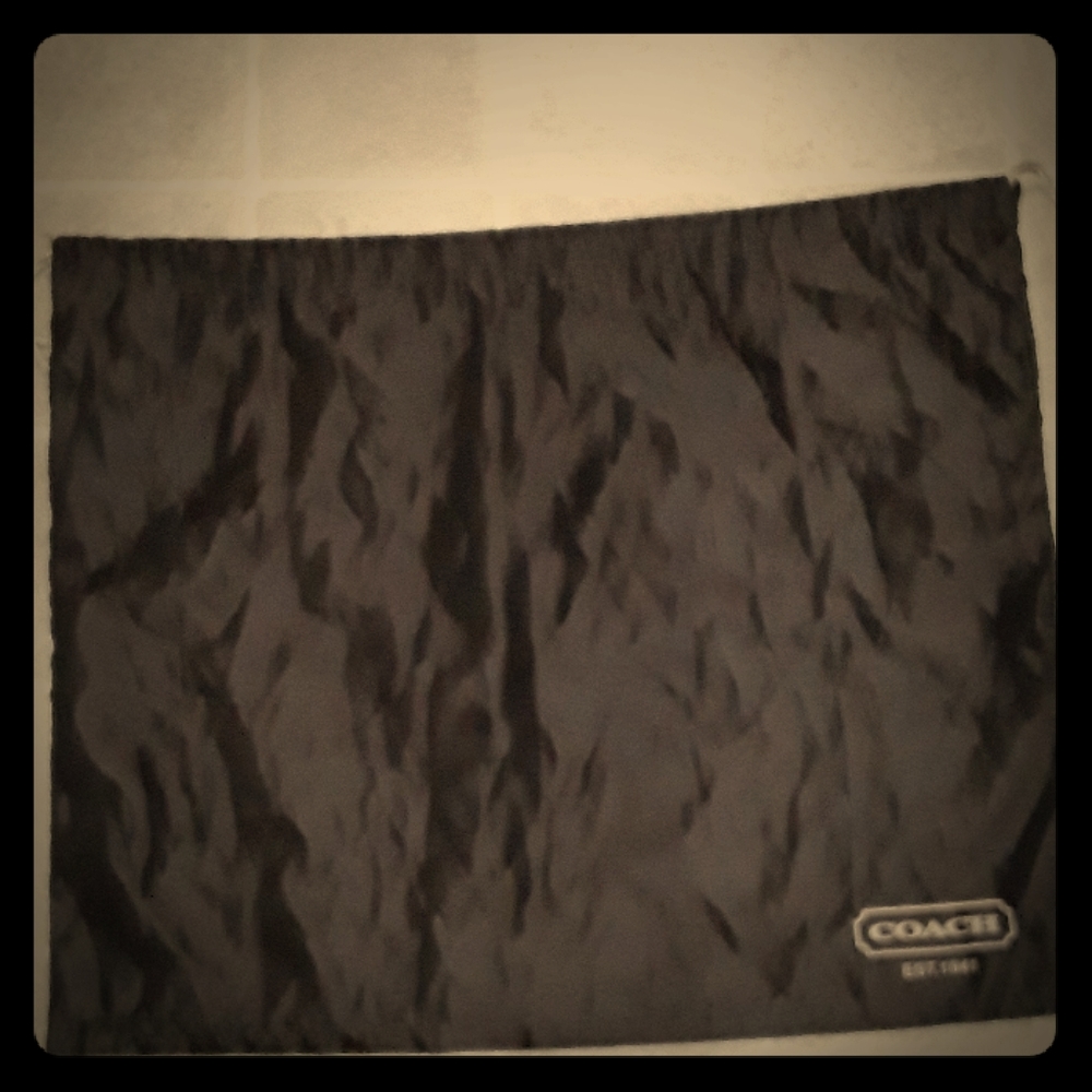 Coach brown dust bag